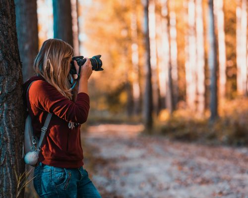 pexels-david-bartus-43782-610293