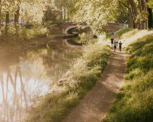 pexels-harriet-b-392993362-17115432