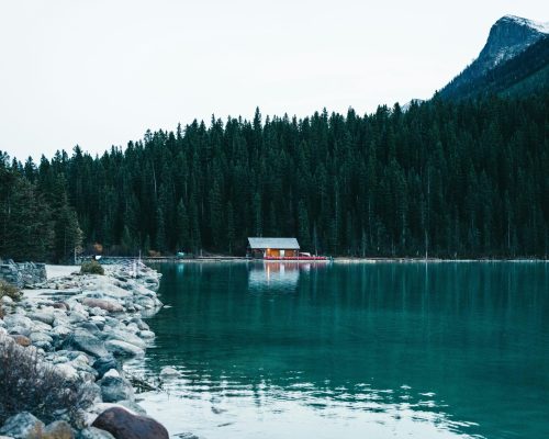 pexels-lureofadventure-19013081